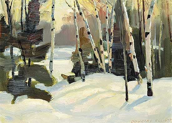 #415 ~ Elliott - Late Afternoon Light