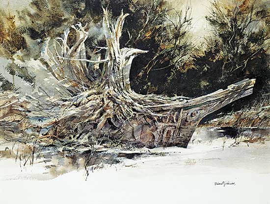 #439 ~ Johnson - Shaman