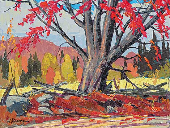 #465.1 ~ Parsons - Wayside Maple