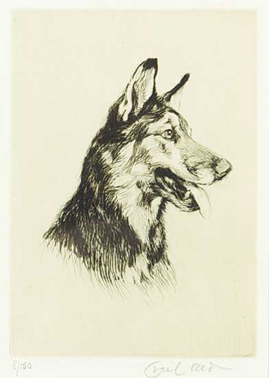 #1008 ~ Aldin - Untitled - German Shepherd  #8/150