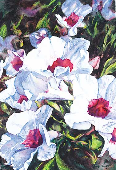 #1024 ~ Barratt - Magenta on White, Shrubbery [Down Under Series]