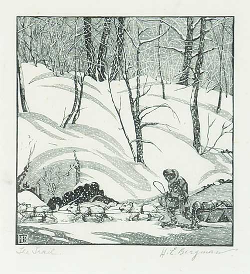 #1033 ~ Bergman - The Trail