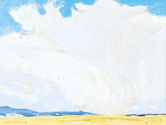 #1204 ~ McInnis - Prairie Storm