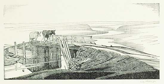 #1234 ~ Phillips - Cook's Creek