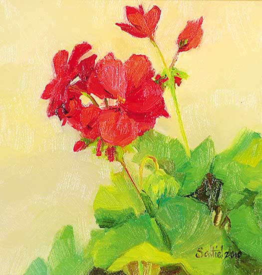 #1247 ~ Saltiel-Marshall - Patio Geranium