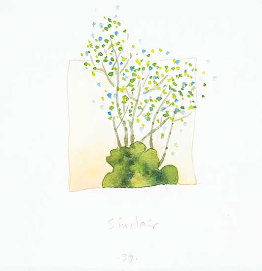 #1287 ~ Sinclair - Untitled - Baby Trees