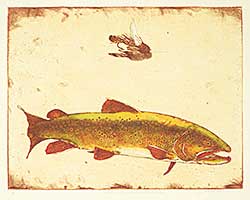 #1078 ~ Cowin - Bull of the Bow [Western Trout Series]  #A/P