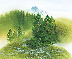 #1133 ~ Hamasaki - Untitled - Mountain Amidst the Trees
