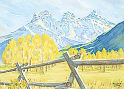 #1163 ~ Jones - Canmore Sisters #1163 ~ Jones - Canmore Sisters