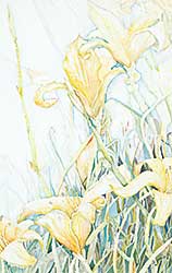 #1167 ~ Juno - Fields of Delight #1167 ~ Juno - Fields of Delight