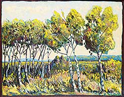 #1275 ~ Hamm - Untitled - Birches in the Wind