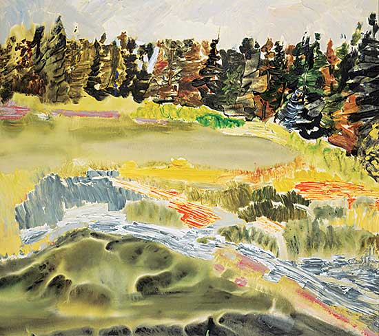 #1 ~ Alexander - Untitled - Emma Lake, Northern Saskatchewan