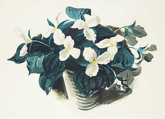 #34 ~ Comfort - Untitled - White Flowers