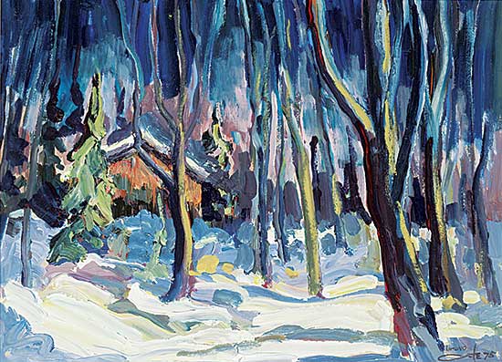 #34.3 ~ Cote - Vieux Camp Lac La Tourelle