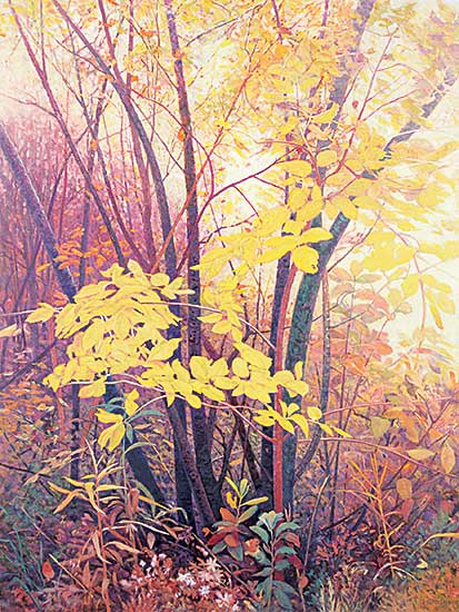 #42 ~ Flodberg - Edge of the Field - Autumn