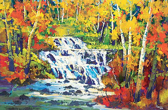 #78 ~ Patterson - Falls