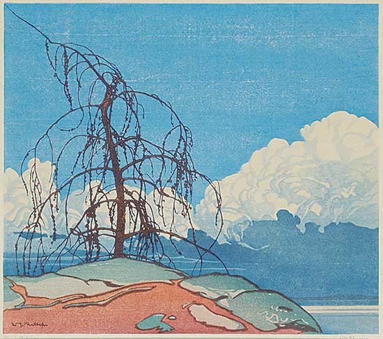 #81 ~ Phillips - Jack Pine  #62/100