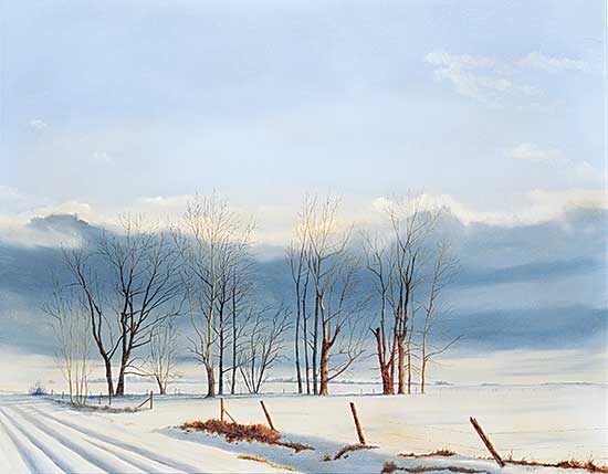 #90 ~ Raftery - Winter Sunshine