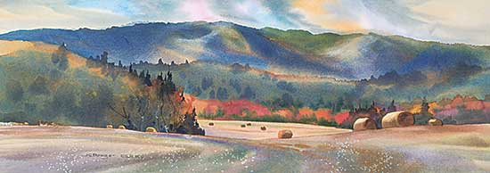 #408 ~ Brager - Hay Meadow, Panorama