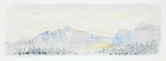 #419 ~ Deacon - From the Rocky Mountain Ranch