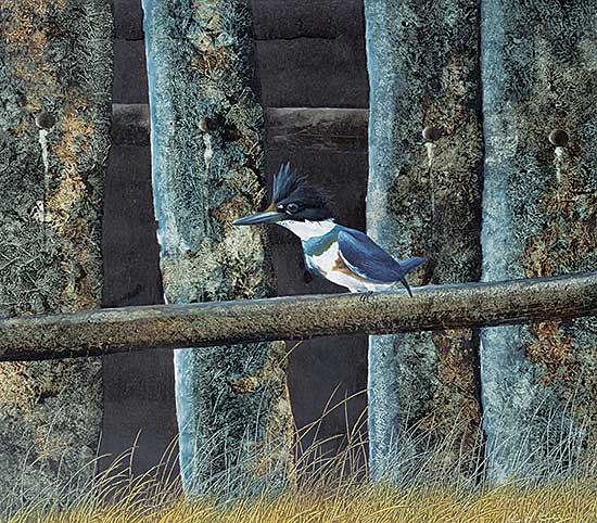 #434 ~ Kirkby - Untitled - Kingfisher