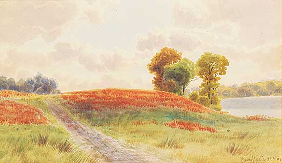 #437 ~ Martin - Untitled - Road by the Lake