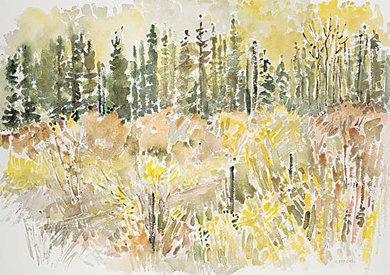 #1127 ~ Mackie - Sunlit Woods