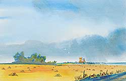 #1107 ~ James - Untitled - Harvest Time #1107 ~ James - Untitled - Harvest Time