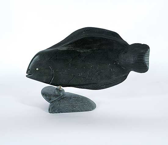 #31 ~ Hiqiniq - Arctic Char