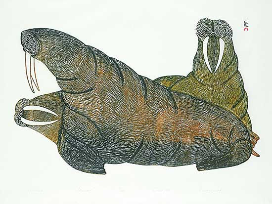 #51 ~ Pootoogook - Walrus  #88/200