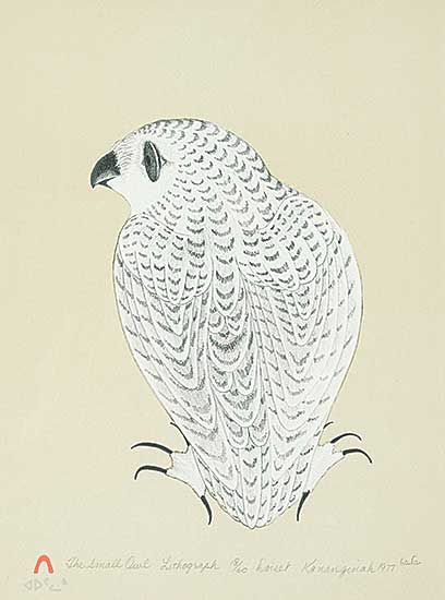 #52 ~ Pootoogook - The Small Owl  #18/60