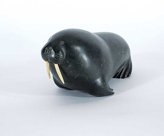 #70 ~ Tukai - Untitled - Walrus