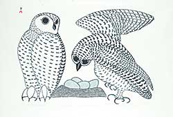 #50 ~ Inuit - Artic Owls and Nest  #21/50
