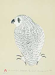 #52 ~ Inuit - The Small Owl  #18/60