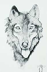 #121 ~ Rollinmud - Untitled - Wolf