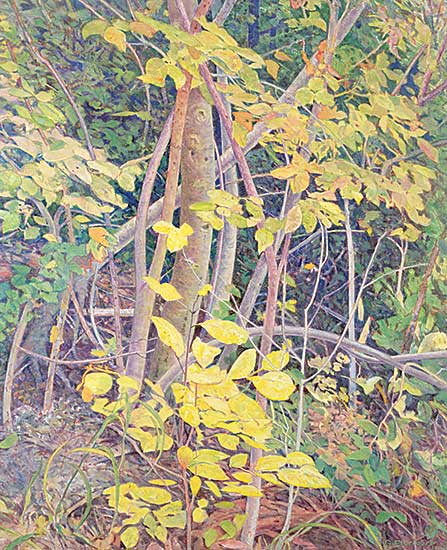 #35 ~ Flodberg - Hillside Scramble