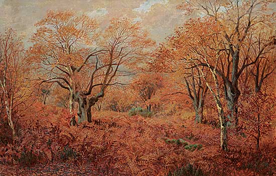 #71 ~ Martin - Untitled - Forest in Autumn
