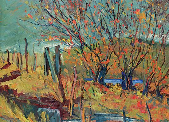 #105 ~ Stevenson - Fence and Bushes [High River Alta.]