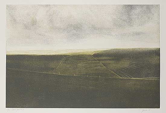 #227 ~ Tanabe - Dark Prairie, II  #17/30