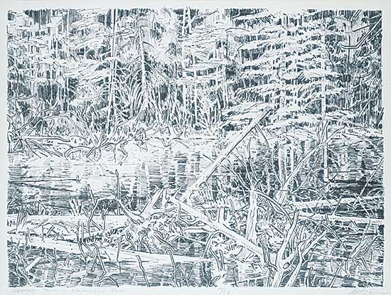 #436 ~ Godwin - Beaver Pond - Kananaskis Road  #15/50