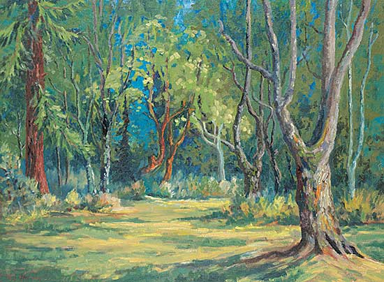 #439 ~ Harvey - Goldstream Park, Victoria