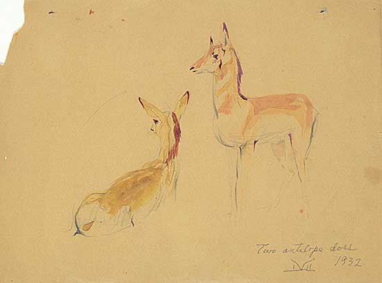 #457 ~ Kerr - Two Antelope Does