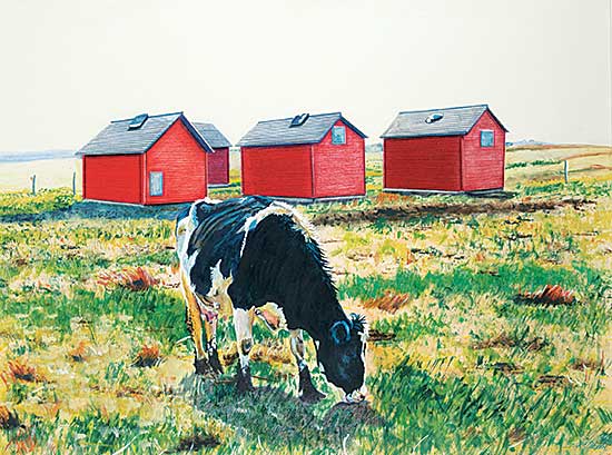 #480 ~ Olson - Grazing Cow and Four Red Sheds