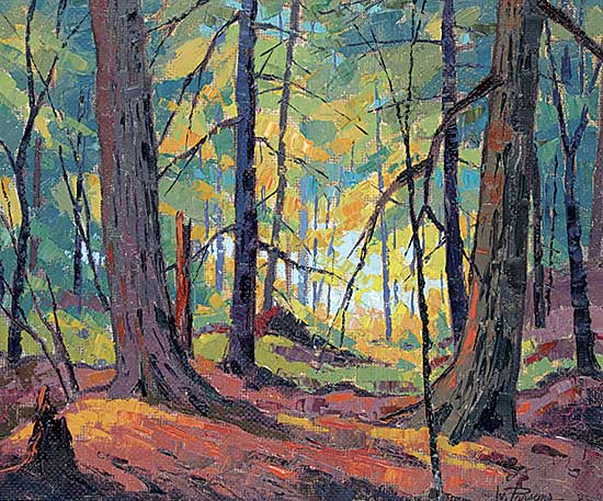 #484 ~ Parsons - Through the Woods To the Lake At Lake Boshkung