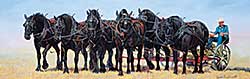 #92 ~ Popplewell - Untitled - Team of Horses