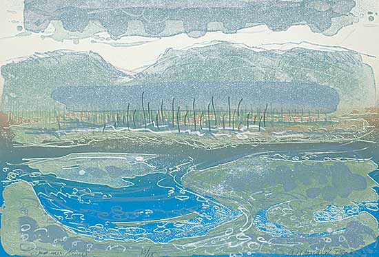 #1011 ~ Barry - Summer River  #13/18