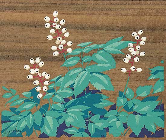 #1035 ~ Casson - The White Baneberry