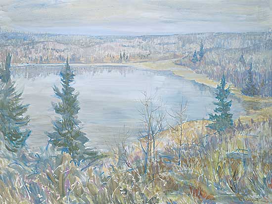 #1108 ~ Meggitt - Trappers Lake