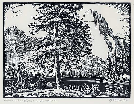 #1171 ~ Shelton - Lower Waterfowl Lake  #45/100