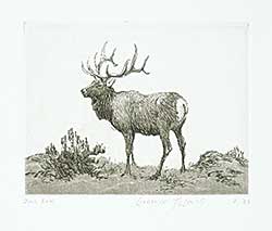 #1191 ~ Tillenius - Bull Elk  #2/25